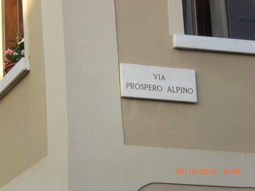 Prospero%20Alpini%27s%20home%20-%2003.JPG